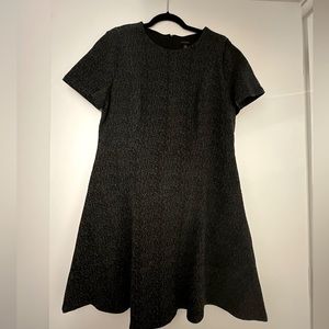 Ann Taylor dress, 16